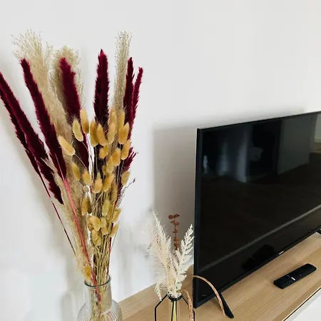 T2 Serenite Lumineux Et Tranquille