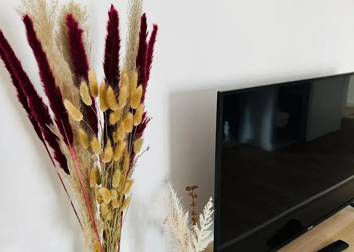 T2 Serenite Lumineux Et Tranquille